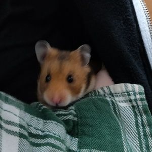 Meet your Posher, Jackie